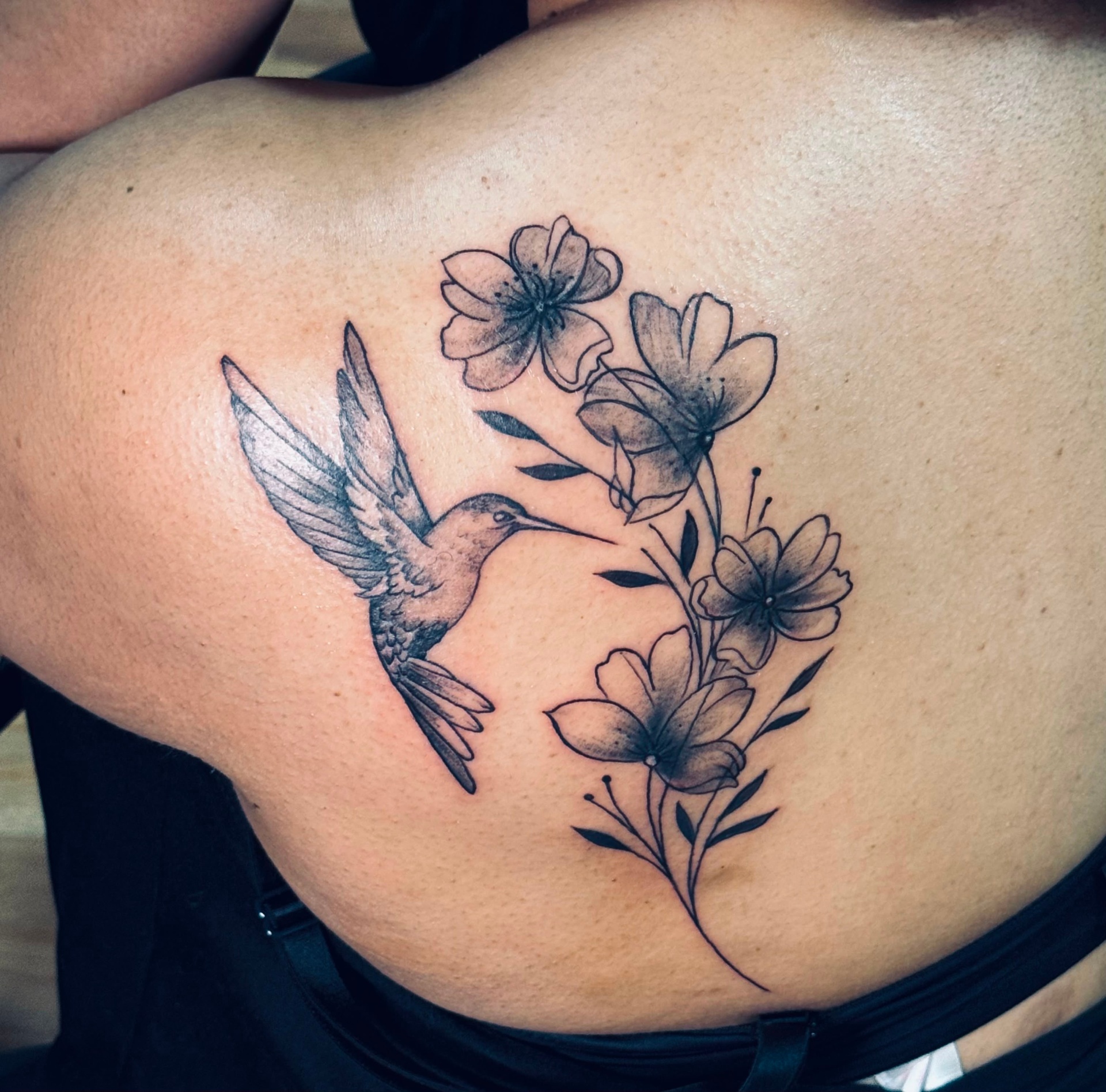 Hummingbird & Blossoms